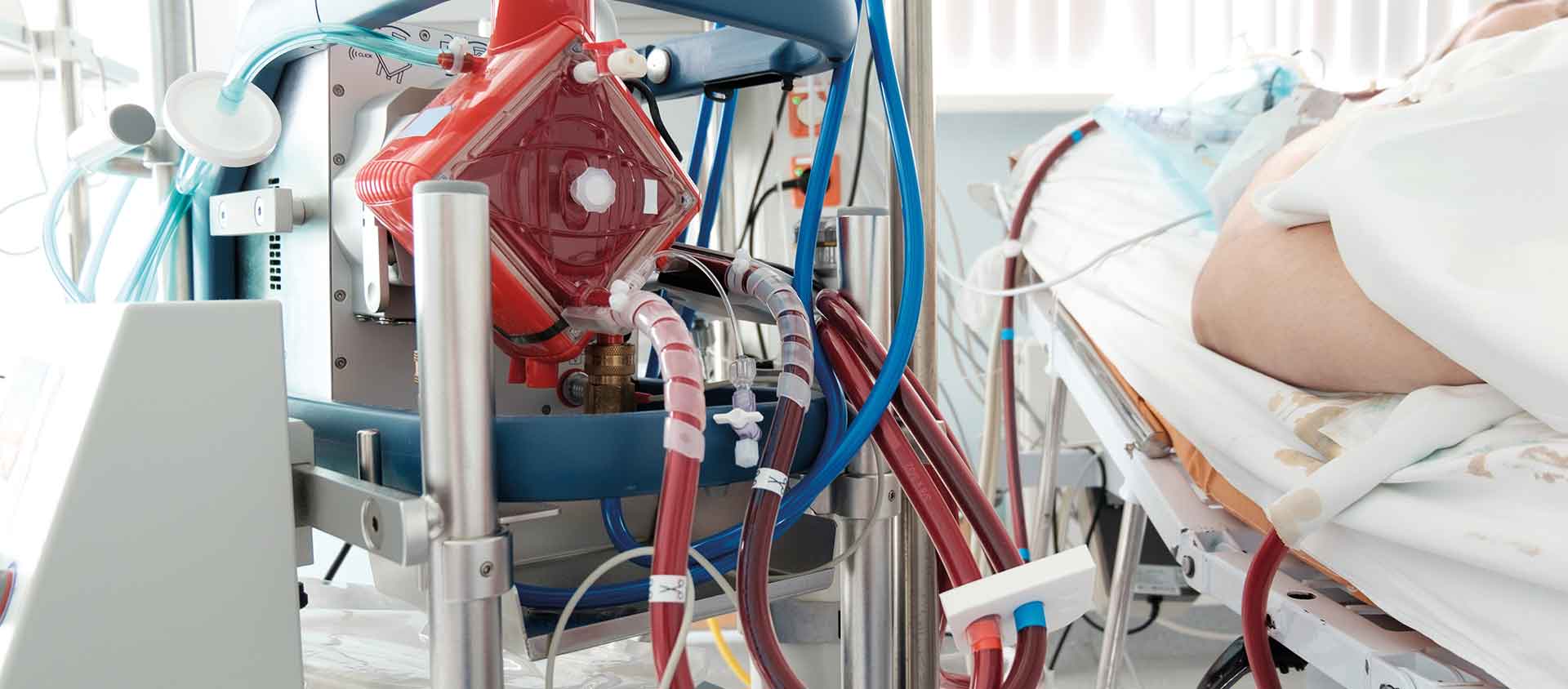 ecmo-web